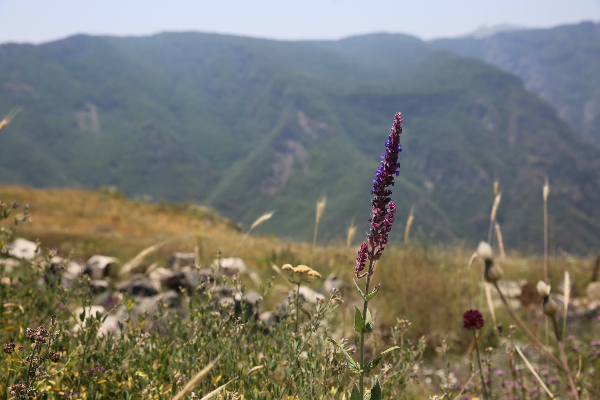 Environmental projects in Tatev
